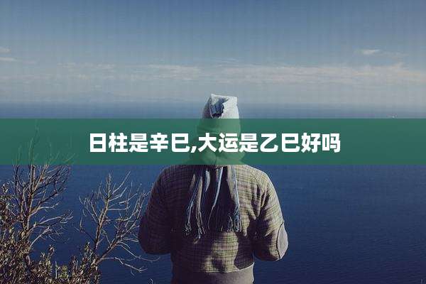 日柱是辛巳,大运是乙巳好吗