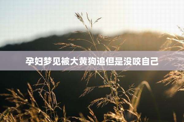 孕妇梦见被大黄狗追但是没咬自己