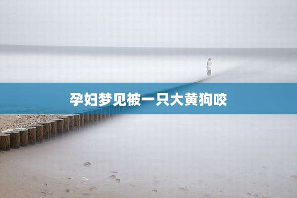 孕妇梦见被一只大黄狗咬