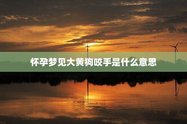 怀孕梦见大黄狗咬手是什么意思