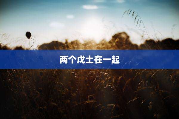 两个戊土在一起
