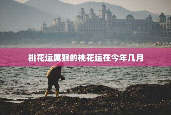 桃花运属猴的桃花运在今年几月
