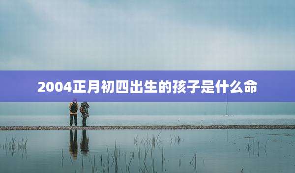 2004正月初四出生的孩子是什么命