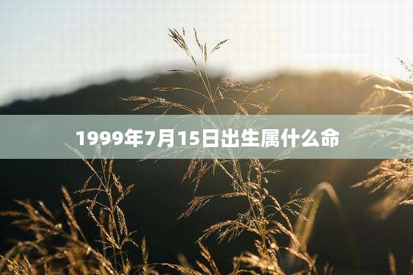 1999年7月15日出生属什么命