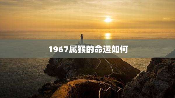 1967属猴的命运如何