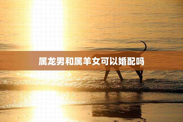 属龙男和属羊女可以婚配吗