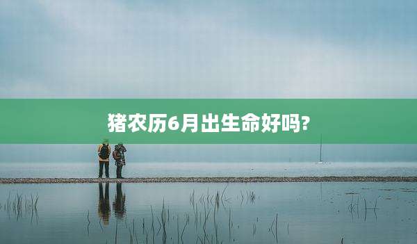 猪农历6月出生命好吗?
