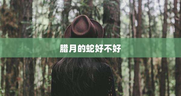 腊月的蛇好不好