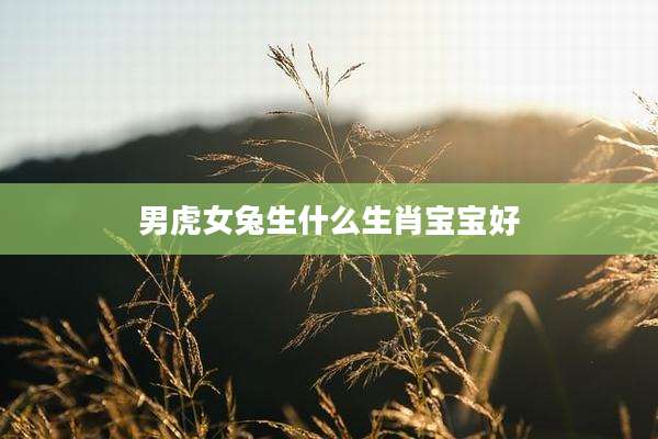 男虎女兔生什么生肖宝宝好