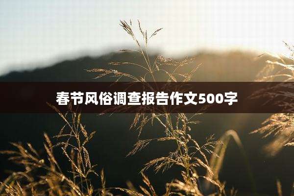 春节风俗调查报告作文500字