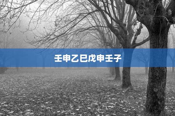 壬申乙巳戊申壬子