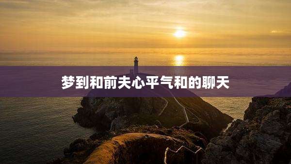 梦到和前夫心平气和的聊天