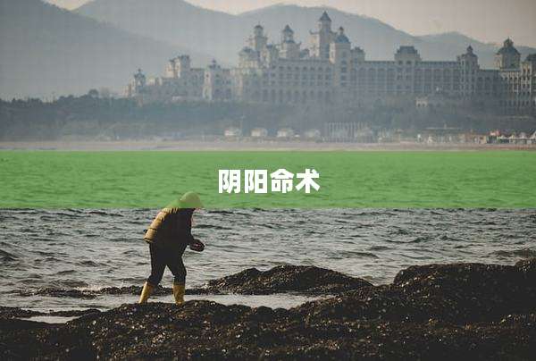 阴阳命术