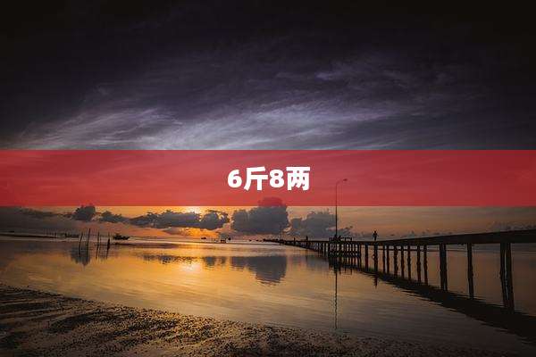 6斤8两
