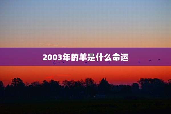 2003年的羊是什么命运