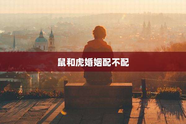 鼠和虎婚姻配不配