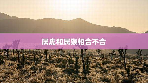属虎和属猴相合不合