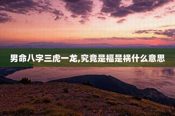 男命八字三虎一龙,究竟是福是祸什么意思