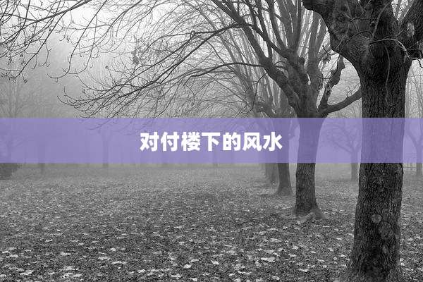 对付楼下的风水