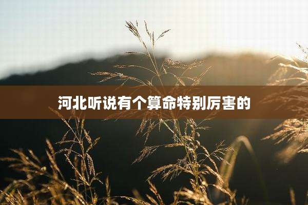 河北听说有个算命特别厉害的