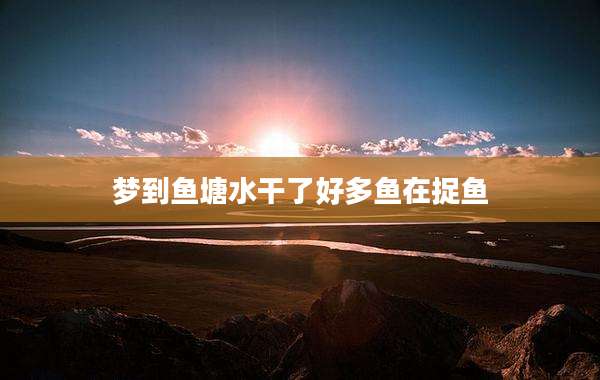 梦到鱼塘水干了好多鱼在捉鱼