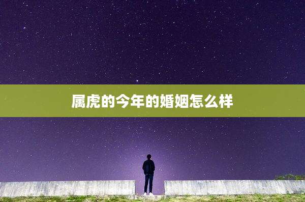 属虎的今年的婚姻怎么样
