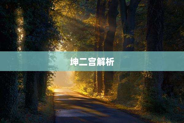 坤二宫解析
