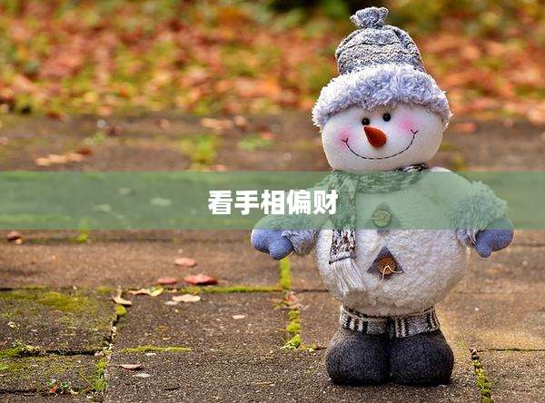 看手相偏财
