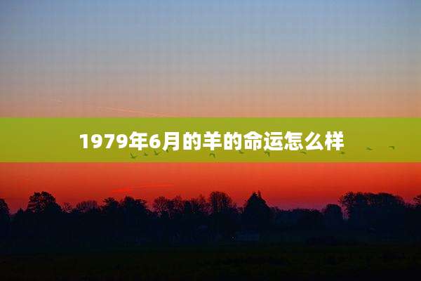 1979年6月的羊的命运怎么样