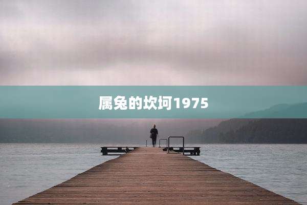 属兔的坎坷1975
