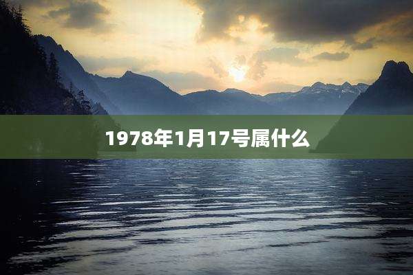 1978年1月17号属什么
