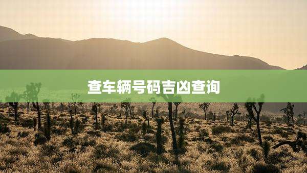查车辆号码吉凶查询