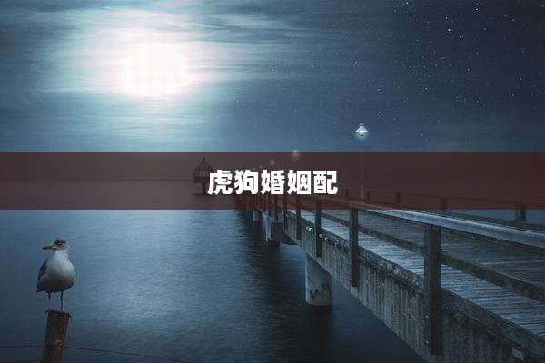 虎狗婚姻配