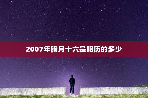 2007年腊月十六是阳历的多少