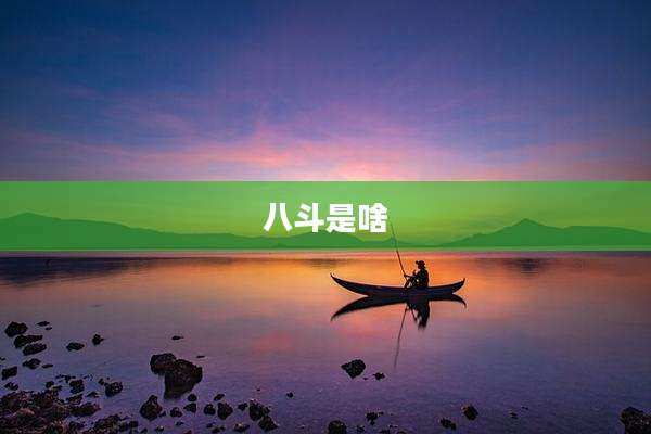 八斗是啥
