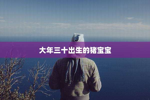 大年三十出生的猪宝宝