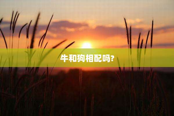 牛和狗相配吗?