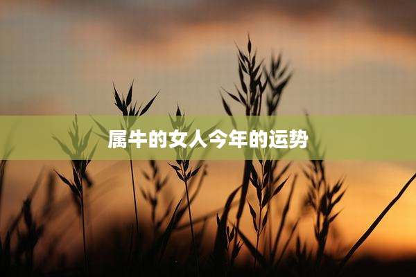属牛的女人今年的运势