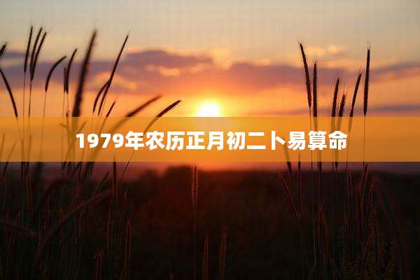 1979年农历正月初二卜易算命