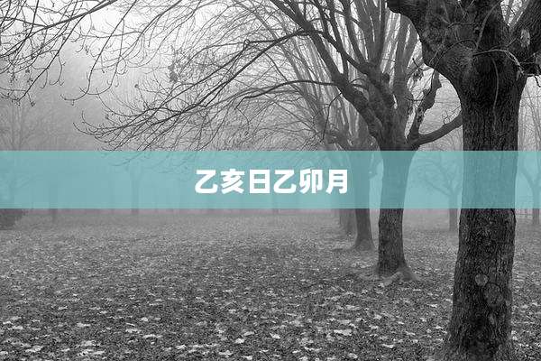 乙亥日乙卯月