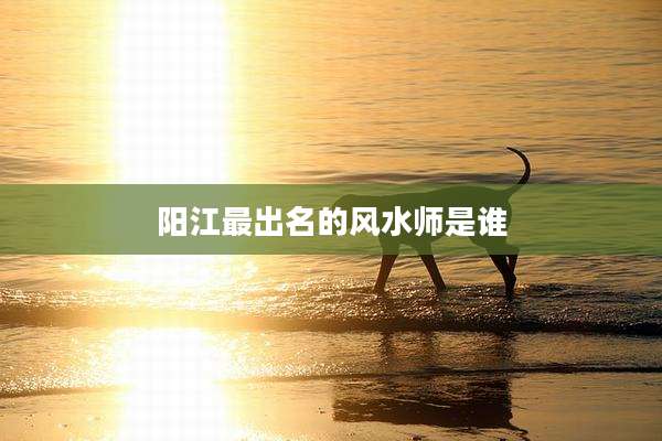 阳江最出名的风水师是谁