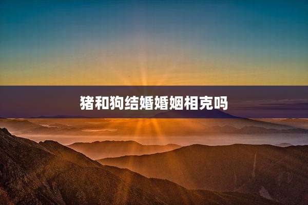 猪和狗结婚婚姻相克吗