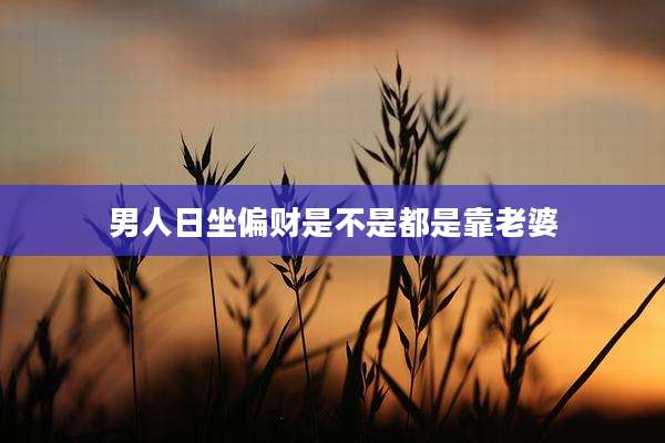 男人日坐偏财是不是都是靠老婆
