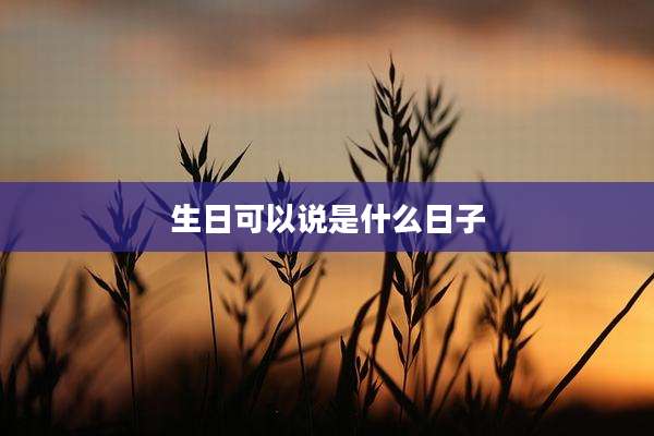 生日可以说是什么日子