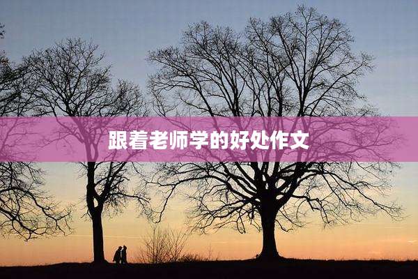跟着老师学的好处作文