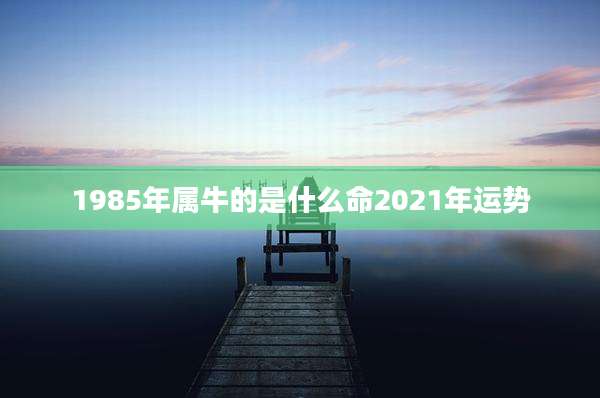 1985年属牛的是什么命2021年运势