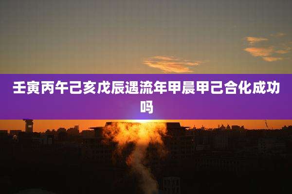 壬寅丙午己亥戊辰遇流年甲晨甲己合化成功吗