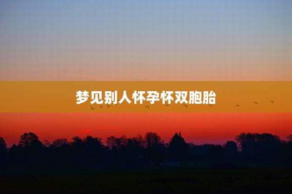 梦见别人怀孕怀双胞胎