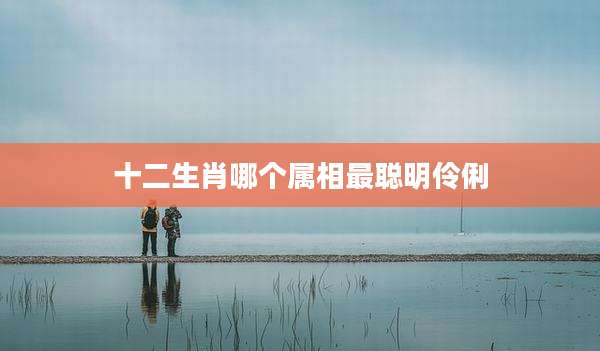 十二生肖哪个属相最聪明伶俐