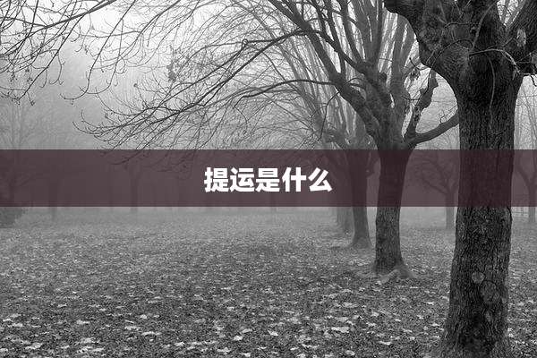 提运是什么
